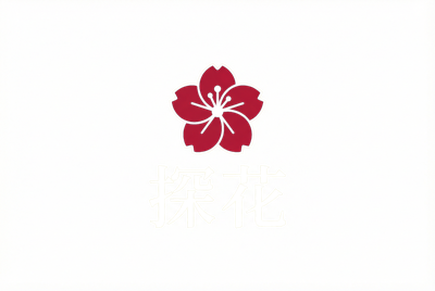 b体育